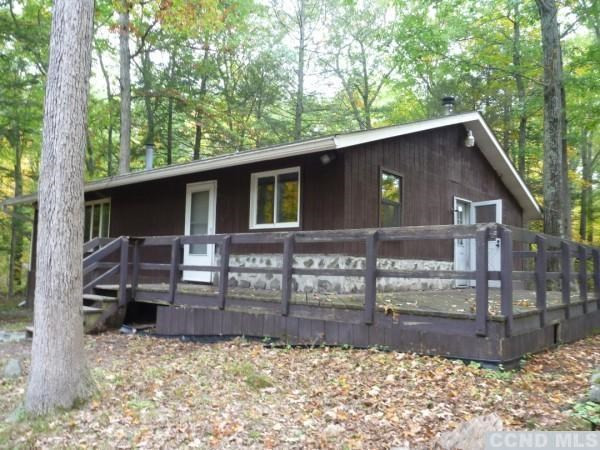 52 Wilson Road Cairo, NY 12451 - Photo 1 of 9 Photo 1
