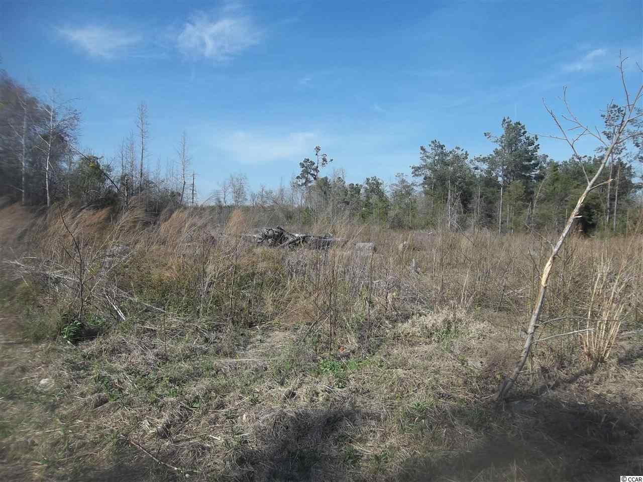 0 Kerl Road Conway, SC 29526 - Photo 1 of 4 Gallery Image 1
