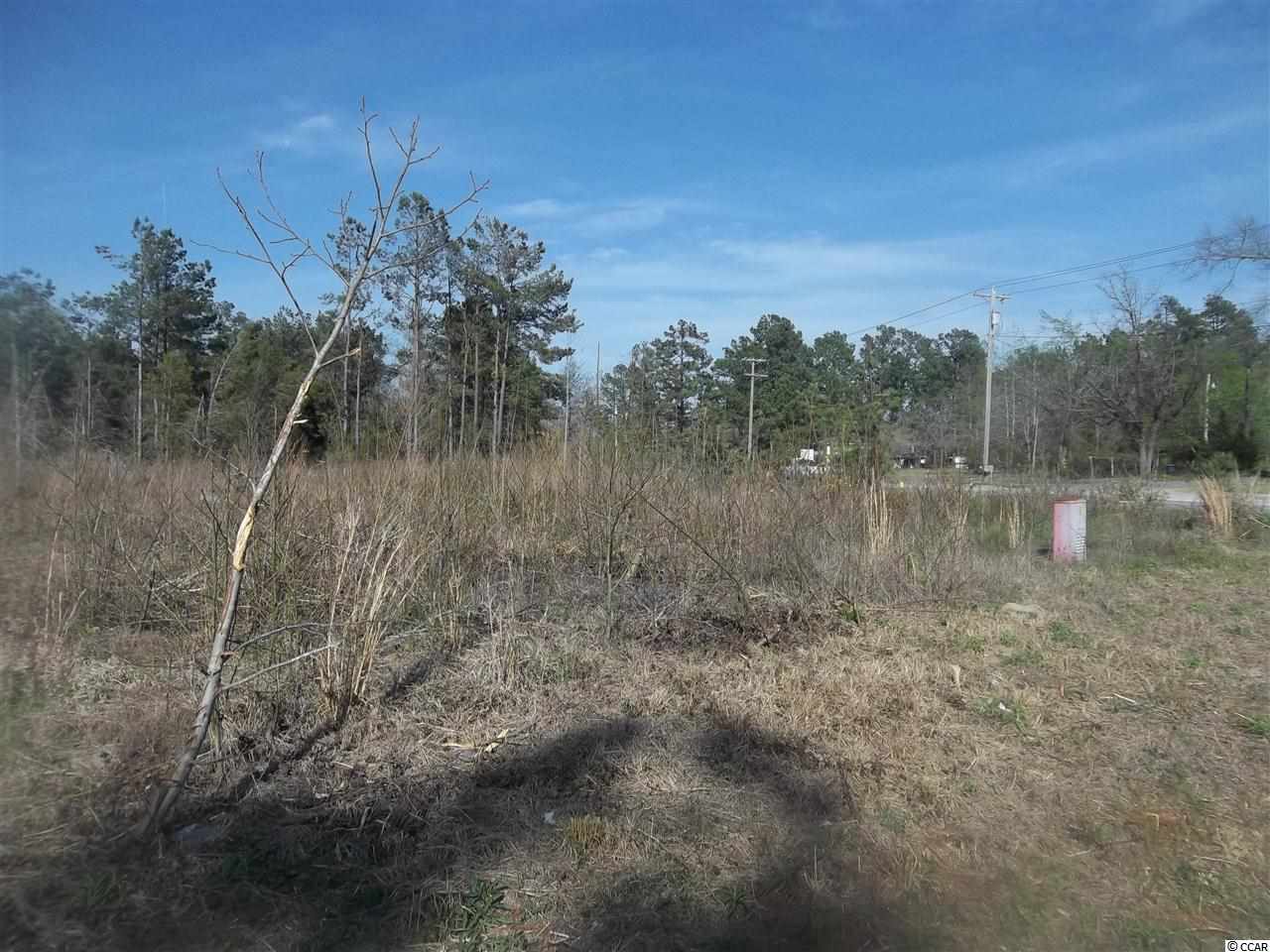 0 Kerl Road Conway, SC 29526 - Photo 2 of 4 Gallery Image 2