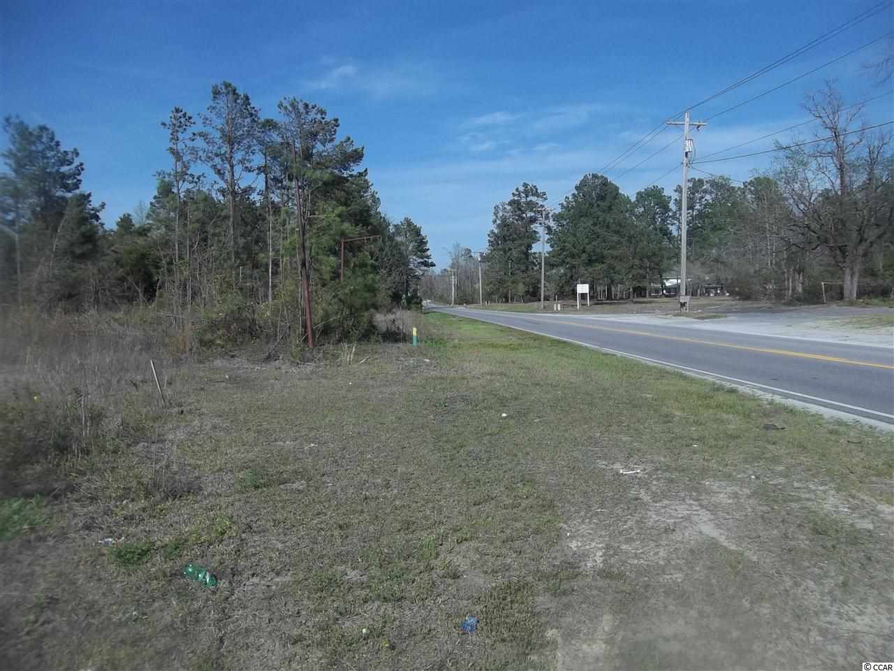 0 Kerl Road Conway, SC 29526 - Photo 3 of 4 Gallery Image 3