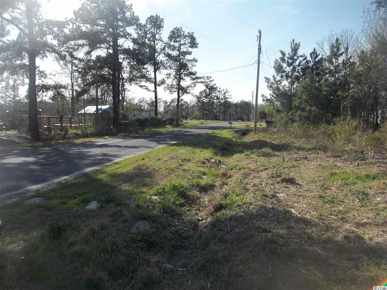 0 Kerl Road Conway, SC 29526 - Photo 4 of 4 Gallery Image 4