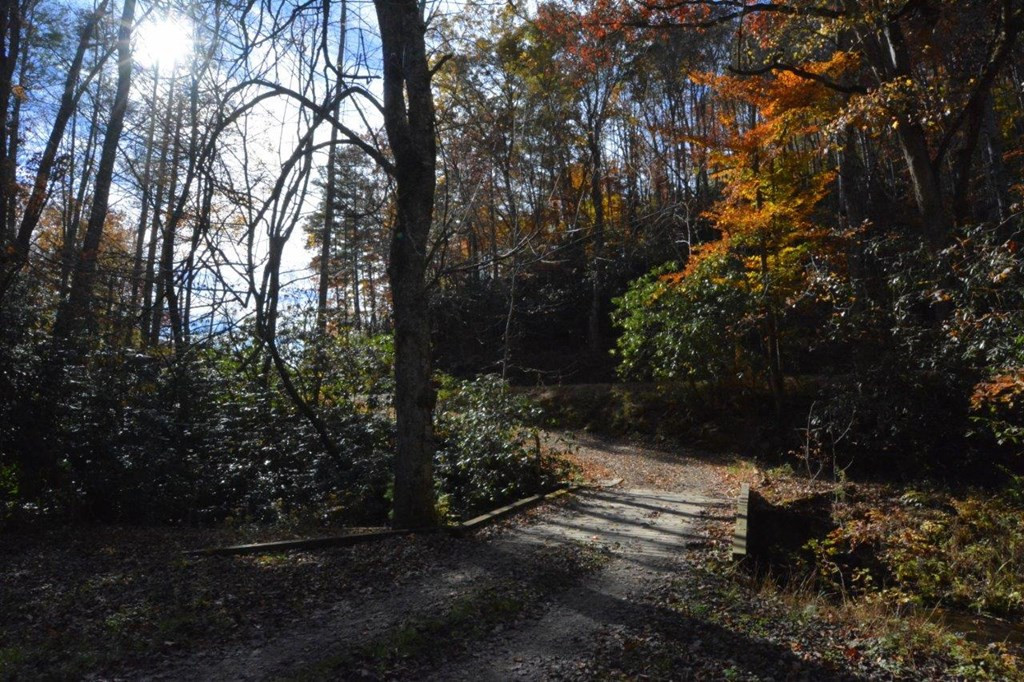 1730 Franks Creek Road Robbinsville, NC 28771 - Photo 34 of 36