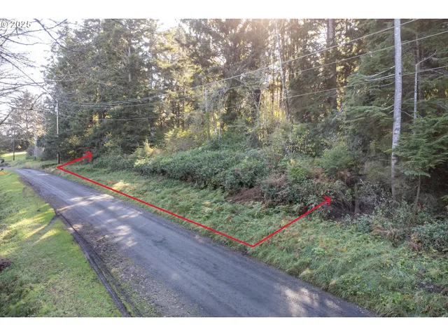 a view of a yard with an outdoor space