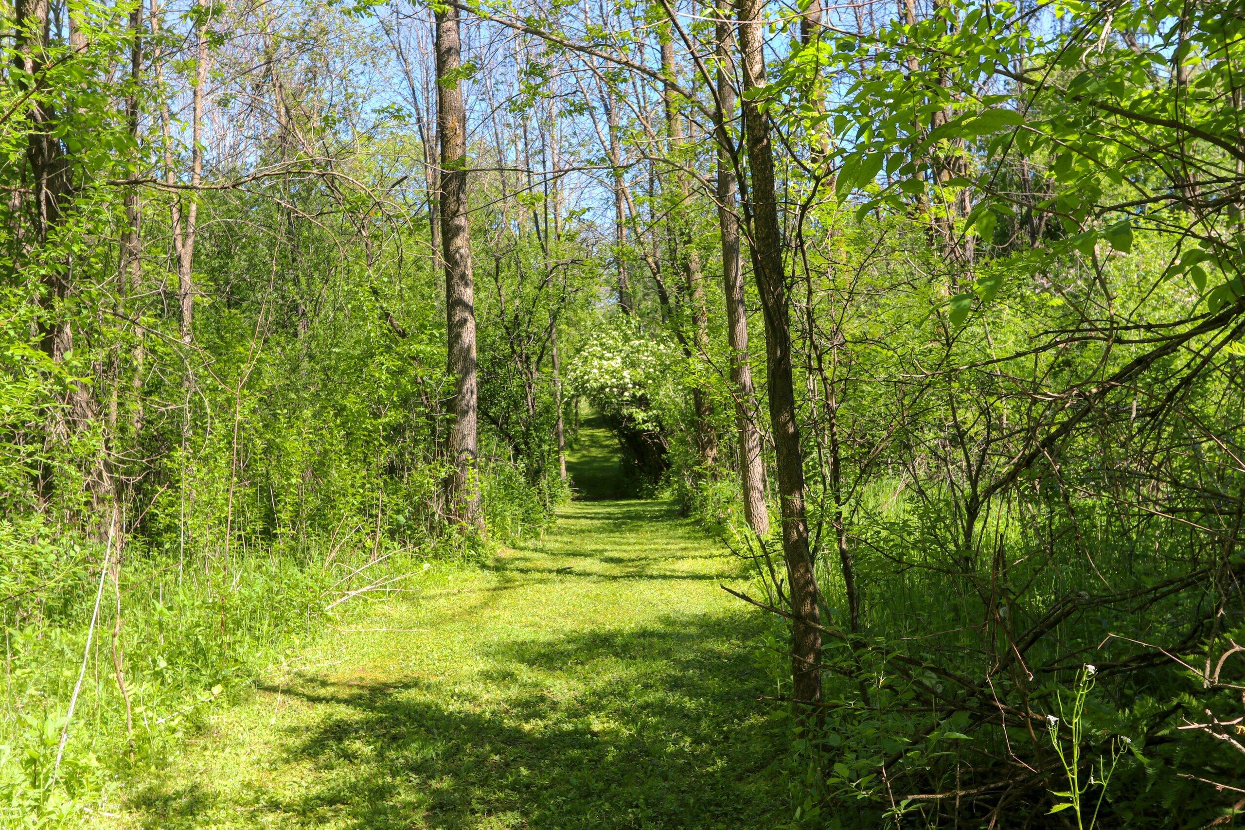 10619 Morgan Road Cato, WI 54230 - Photo 82 of 101 028-10619MorganRoad-Reedsville-WI-54230-