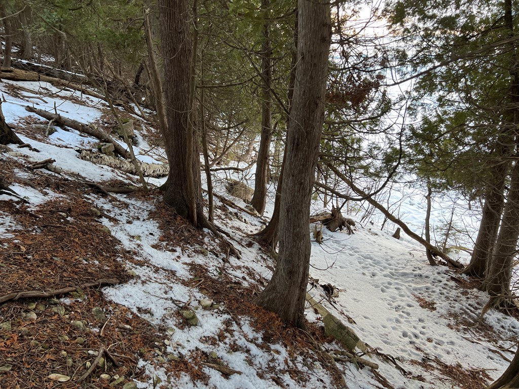 Lot 13 Boyers Bluff Road Washington Island, WI 54246 - Photo 12 of 12