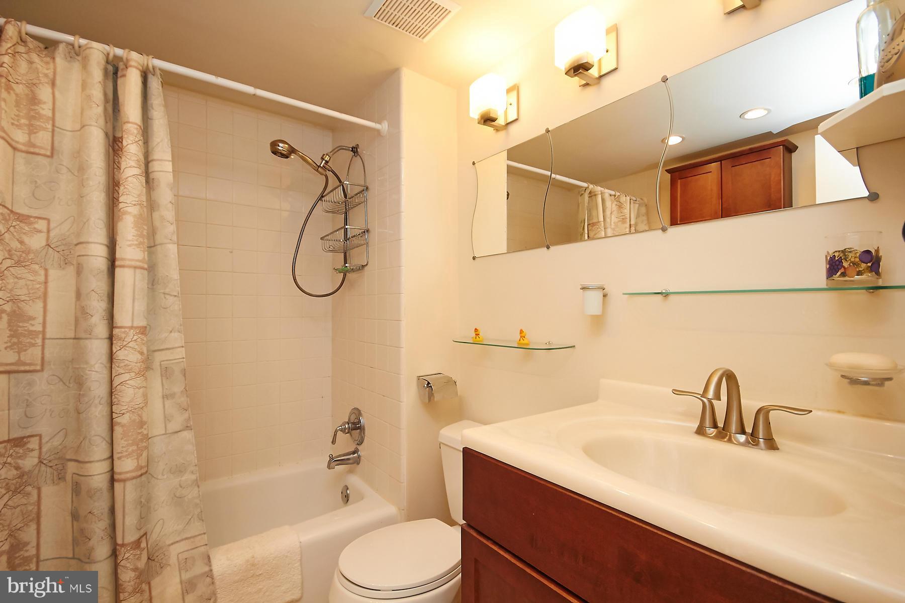 11445 Waterview Cluster Reston, VA 20190 - Photo 18 of 30 Bath (Master)
