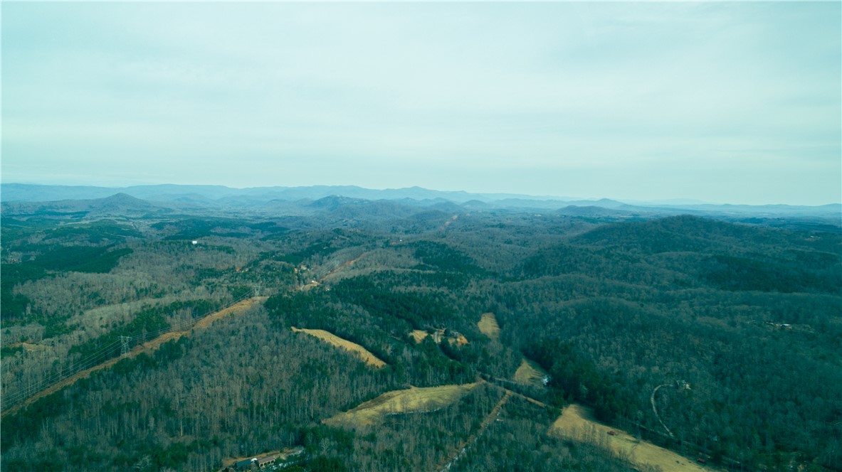 181 Crowe Creek Church Road Six Mile, SC 29682 - Photo 29 of 29