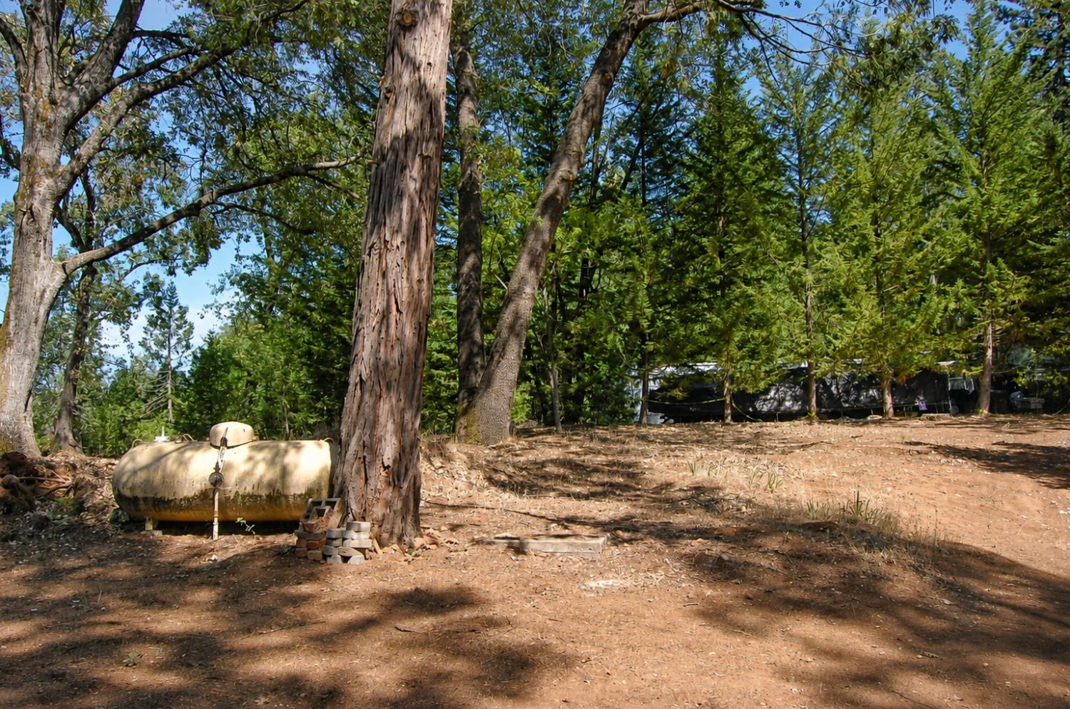 20131 Shake Ridge Road Volcano, CA 95689 - Photo 83 of 93 Gallery Image 83