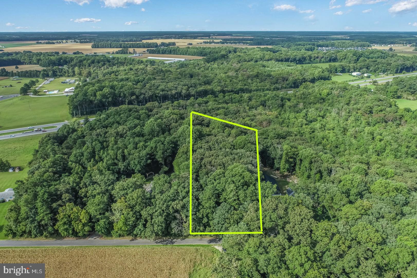 234 Deep Branch Road Milton, DE 19968 - Photo 3 of 8