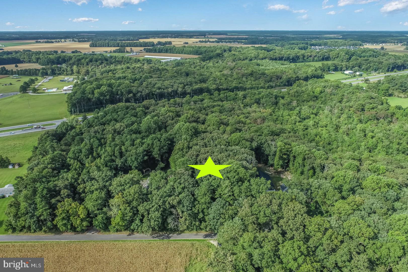 234 Deep Branch Road Milton, DE 19968 - Photo 4 of 8