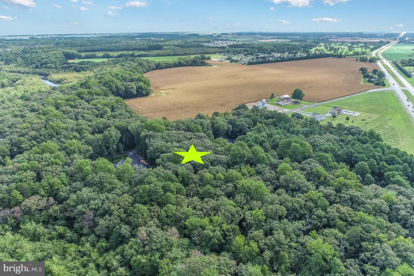 234 Deep Branch Road Milton, DE 19968 - Photo 6 of 8