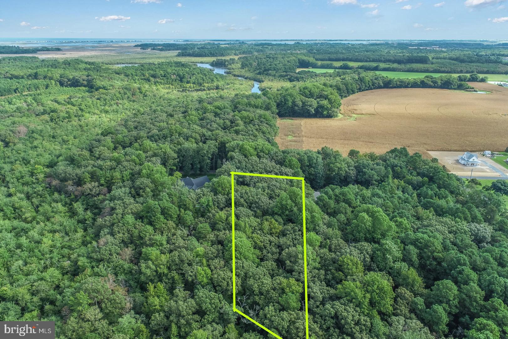 234 Deep Branch Road Milton, DE 19968 - Photo 7 of 8