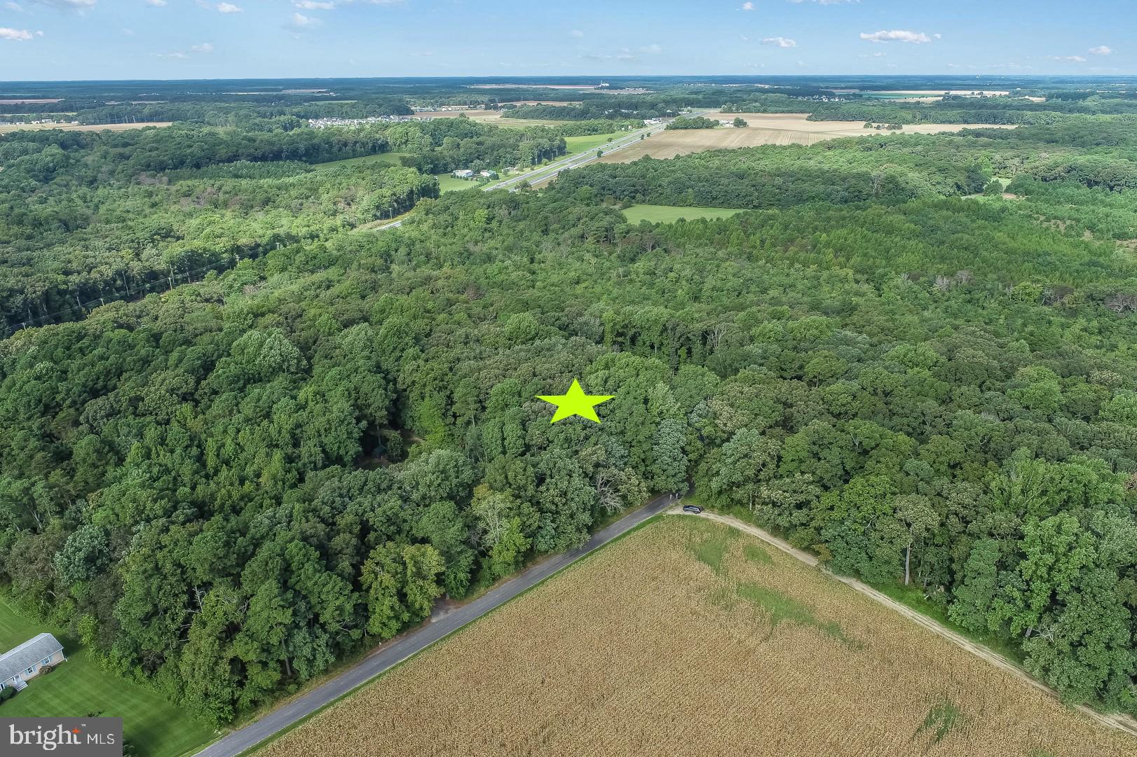 234 Deep Branch Road Milton, DE 19968 - Photo 8 of 8