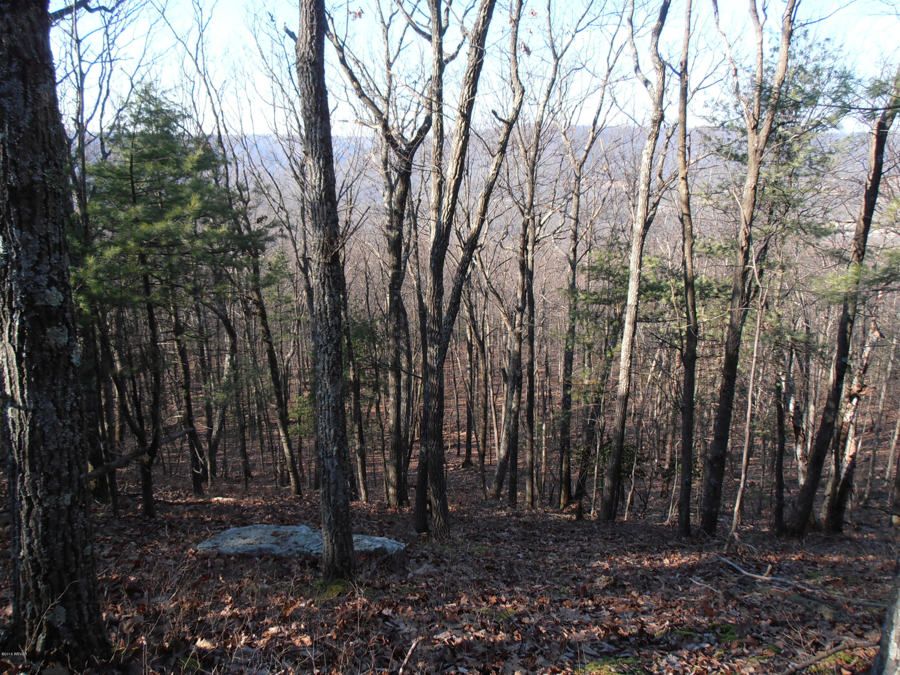 504 Furnace Run Road Jersey Shore, PA 17740 - Photo 31 of 36 PATCH PHOTOS 018