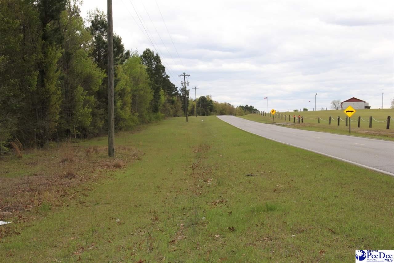 0 Hartsville-Ruby Road Patrick, SC 29584 - Photo 3 of 4 Gallery Image 3