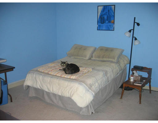 11 Jacqueline Road, Unit A Waltham, MA 02452 - Photo 7 of 9