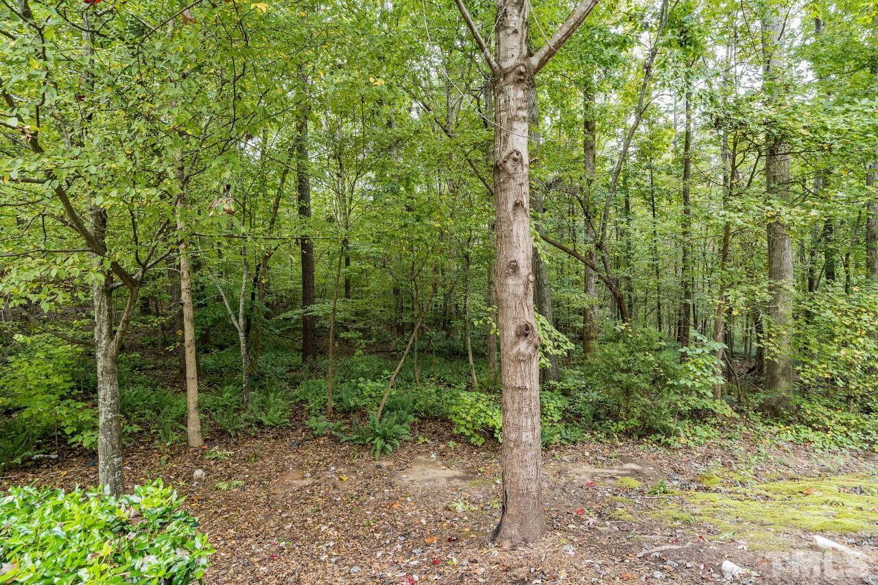 8017 Sunset Branch Court Raleigh, NC 27612 - Photo 23 of 24 Gallery Image 23