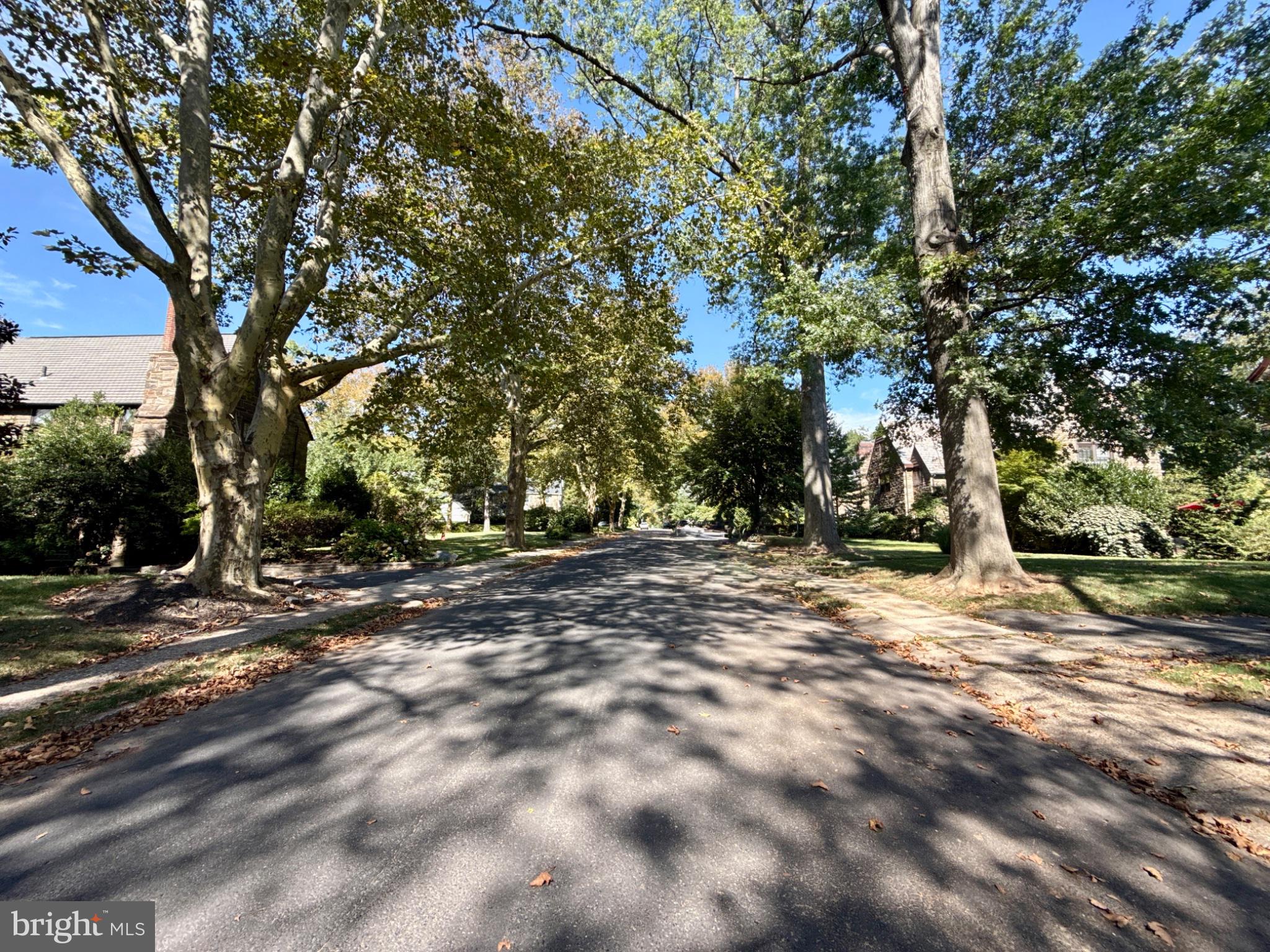 1013 Wellington Road Jenkintown, PA 19046 - Photo 50 of 50 Sycamore trees line the street