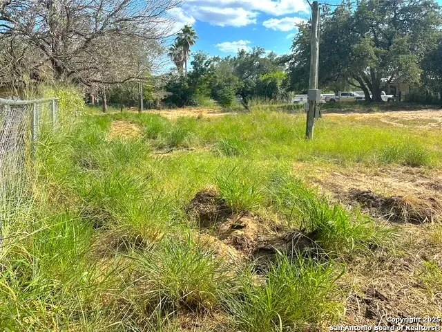 a view of a yard with a tree