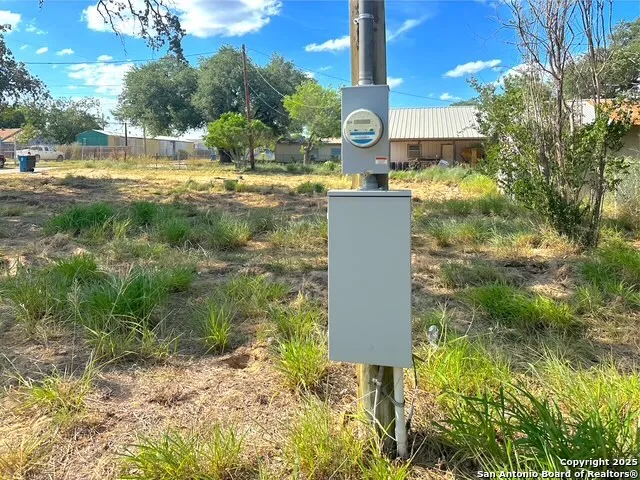 a picture of a yard with plants