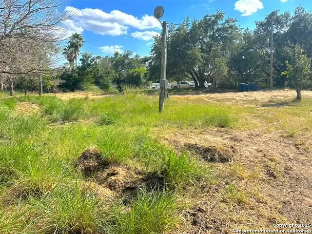 a view of a park with large trees