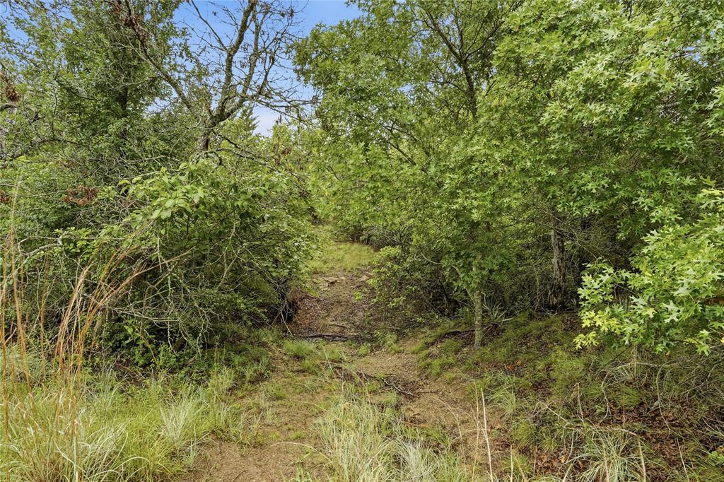 Tbd Northview Road Aledo, TX 76008 - Photo 25 of 35 a view of a garden