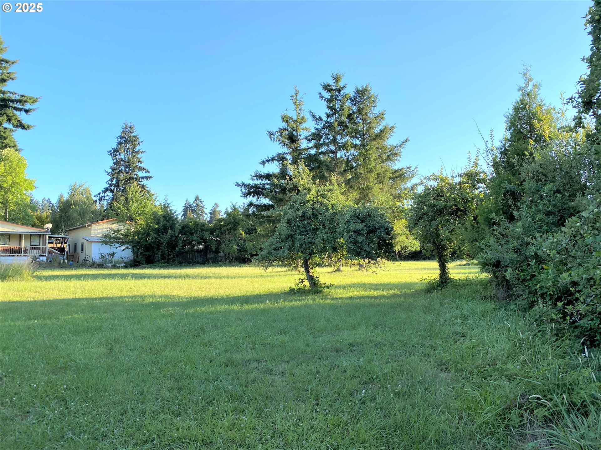 1st Street Yoncalla, OR 97499 - Photo 2 of 6