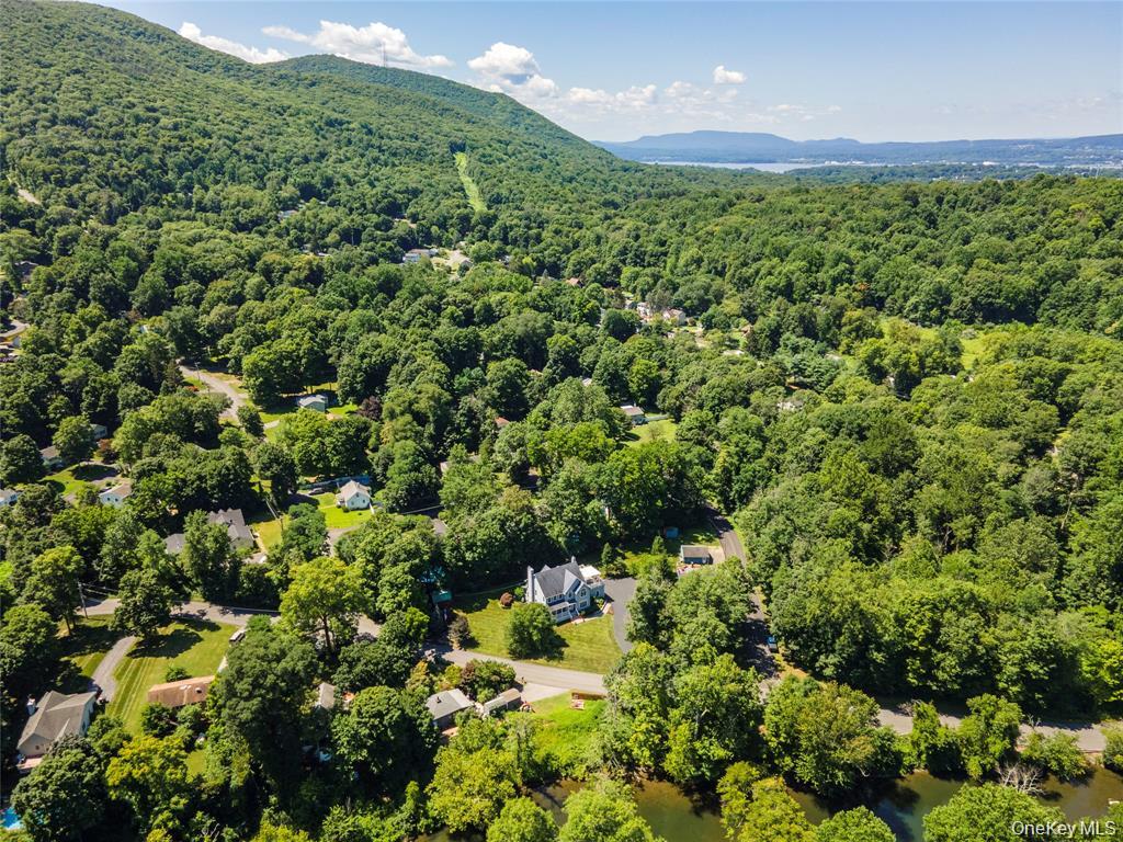 6 Old Town Road Beacon, NY 12508 - Photo 45 of 49 a view of a lush green forest with lots of trees