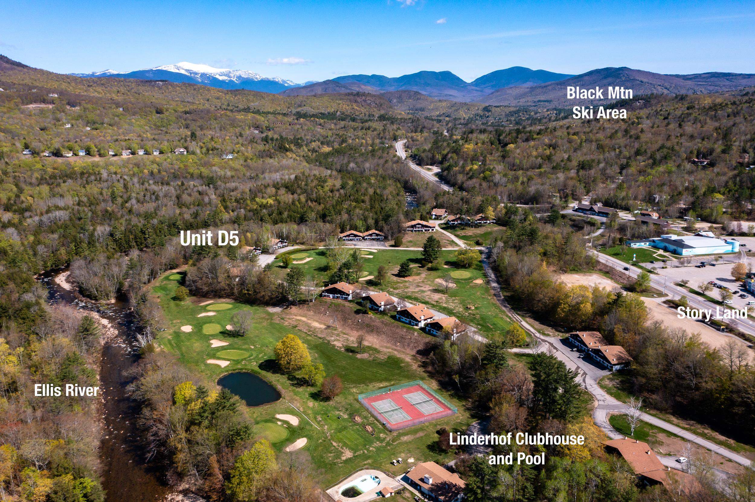 46 Linderhof Golf Course Road, Unit D5 Bartlett, NH 03838 - Photo 6 of 30