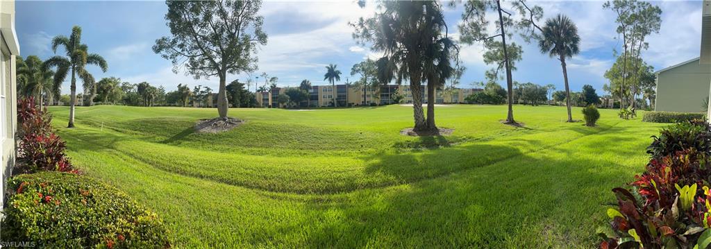 a view of a park with palm trees