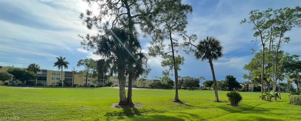267 Quail Forest Boulevard, Unit 111 Naples, FL 34105 - Photo 33 of 41 a view of a park with palm trees