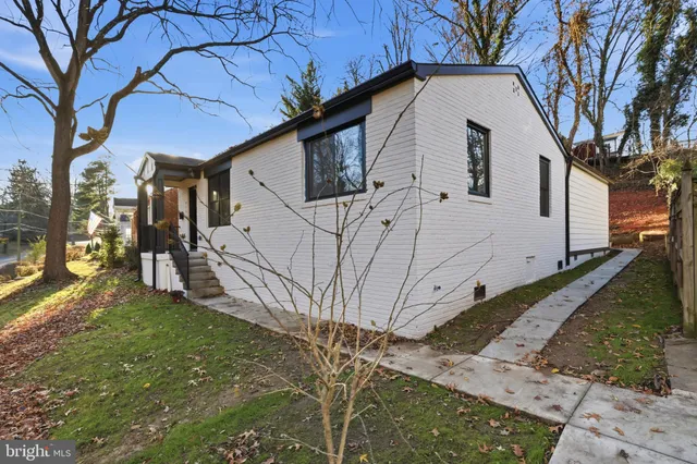 a view of a white house with a large tree