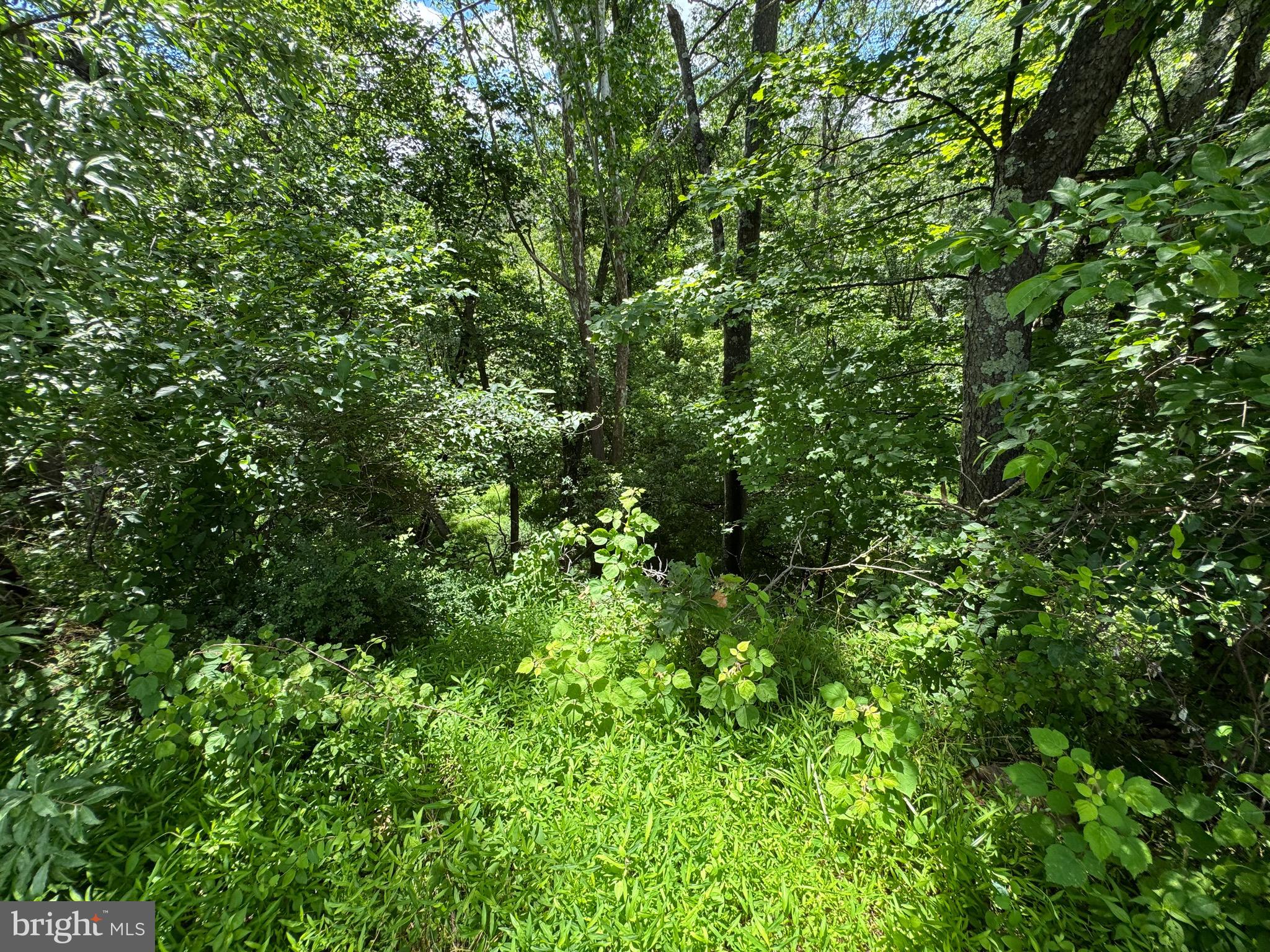 Sand Mine Road, Unit 9 Berkeley Springs, WV 25411 - Photo 7 of 17