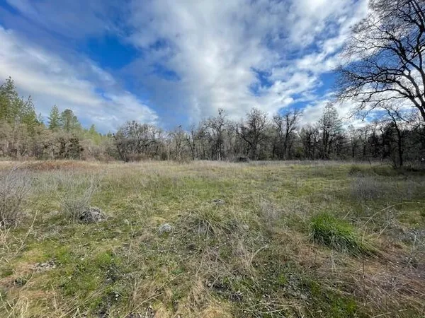a view of a field with trees in background