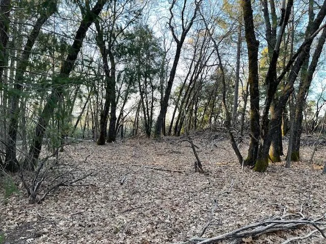 a view of outdoor space with lots of trees
