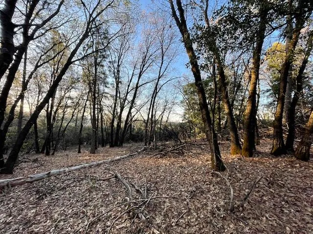 a view of outdoor space with trees