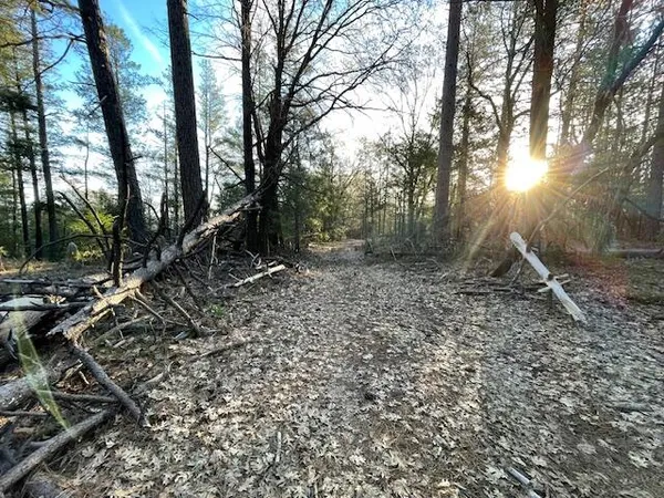 a view of house with a backyard space