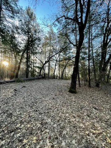 a view of outdoor space