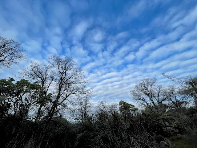a view of a yard in a yard