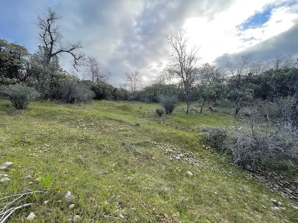 a view of a city with lots of trees