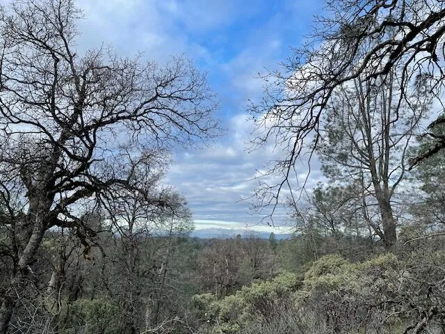 a view of a yard with wooden fence