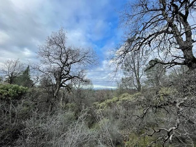 a view of a field with trees in background
