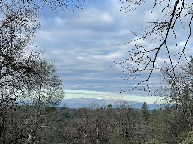 a view of a field with trees in background