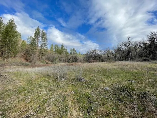 a view of a yard with an trees