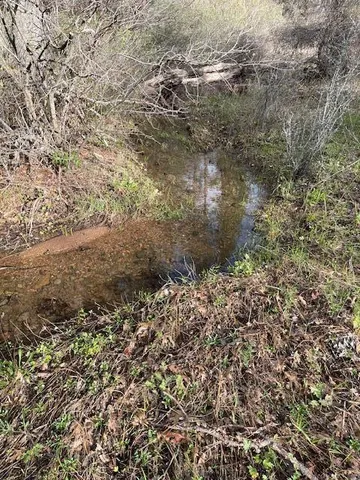a view of field with trees in background