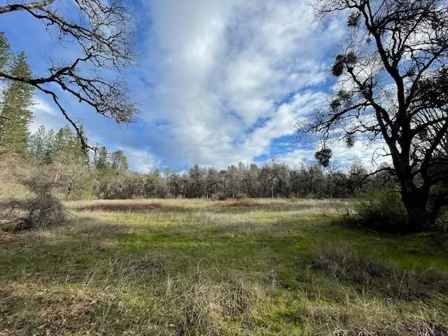 a view of outdoor space with trees
