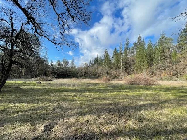 a view of outdoor space and yard