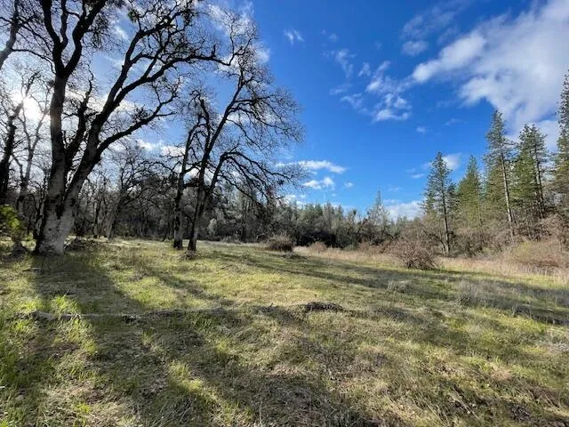 a view of a lake with a yard