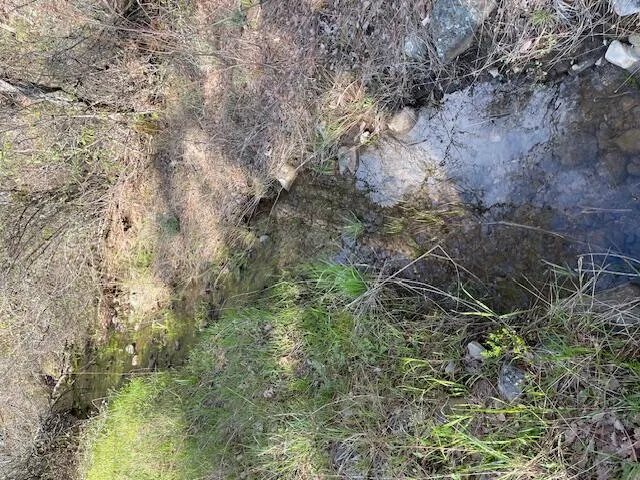 a view of outdoor space with trees all around