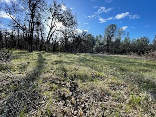 $160,000 | 160-acres 160-acres Donkey Mine And Madison Oak Run, Oak Run, CA 96069